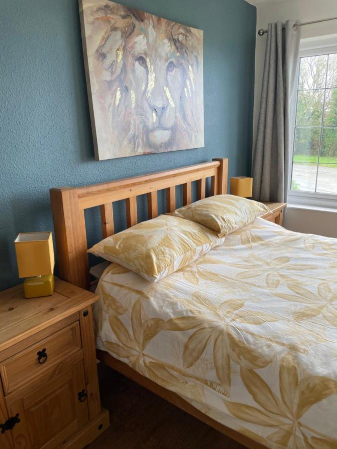 Carreg Yr Onnen Villa Хавърфордуест Екстериор снимка